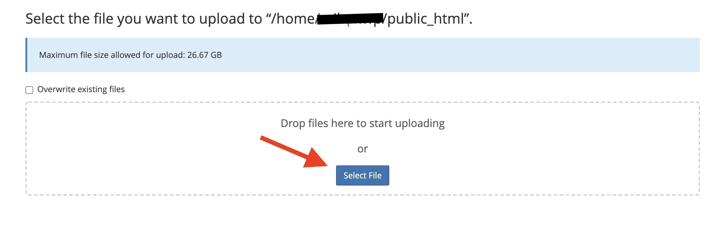 select file for upload